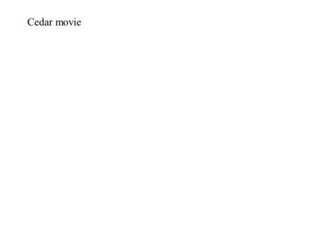 Cedar movie. Cedar Fire - 2003 Operations/systems. Processes so far considered: Y(t), 0