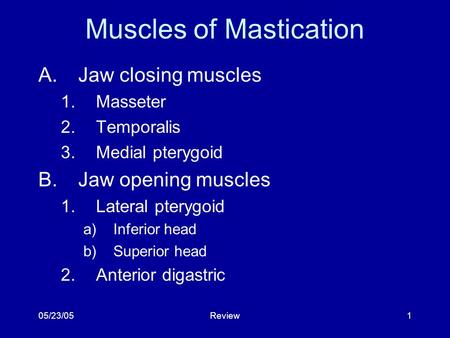 Muscles of Mastication