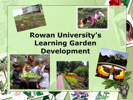 Rowan University’s Learning Garden Development. A Learning Garden A “Learning Garden” is a place to share the joy of learning in addition to ideas and.