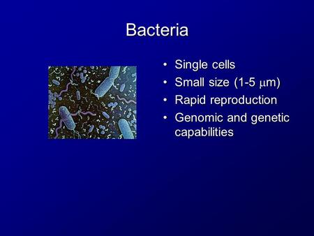 Bacteria Single cellsSingle cells Small size (1-5  m)Small size (1-5  m) Rapid reproductionRapid reproduction Genomic and genetic capabilitiesGenomic.