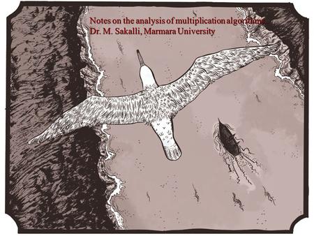 Notes on the analysis of multiplication algorithms.. Dr. M. Sakalli, Marmara University.