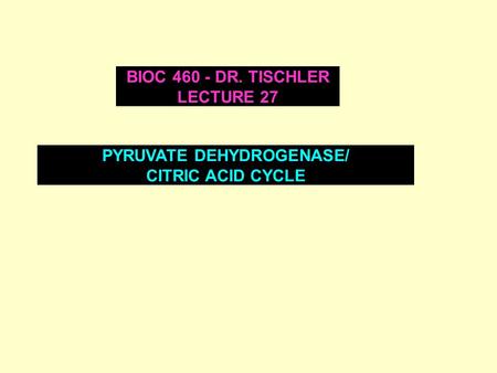 PYRUVATE DEHYDROGENASE/