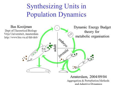 Synthesizing Units in Population Dynamics Bas Kooijman Dept of Theoretical Biology Vrije Universiteit, Amsterdam  Amsterdam,