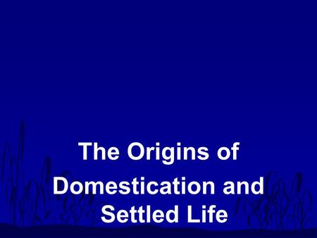 The Origins of Domestication and Settled Life. Transition : Upper Paleolithic to Mesolithic n Upper Paleolithic –40,000 - 10,000 ya –lifestyles –migrations.