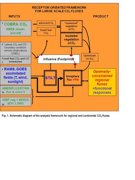 COBRA CO 2 data (tower, aircraft) Fossil fuel CO 2 and CO inventories RAMS, GOES assimilated fields (T, wind, sunlight) STILT “measured” vegetation  CO.