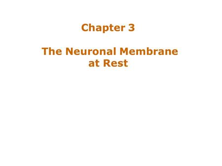 Chapter 3 The Neuronal Membrane at Rest.