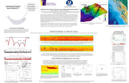 We have carried out a high-statistics study of the “B” call of the blue whale (Balaenoptera musculus), as observed from the Pioneer Seamount underwater.