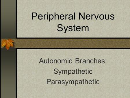 Peripheral Nervous System Autonomic Branches: Sympathetic Parasympathetic.