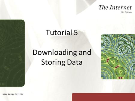 Tutorial 5 Downloading and Storing Data. XP Objectives Learn what FTP is and how it works Explore how to use a Web browser to transfer files Navigate.