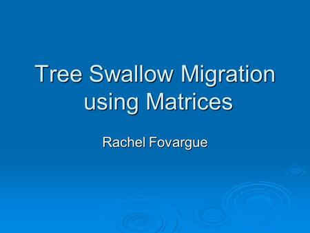 Tree Swallow Migration using Matrices Rachel Fovargue.