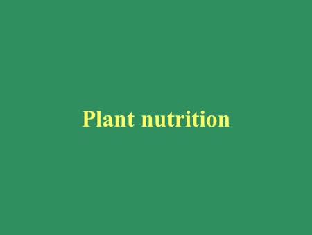 Plant nutrition. Plant Nutrition 1. What is meant by “plant nutrition” 2. The chemical elements required by plants 3. How plants take up mineral elements.