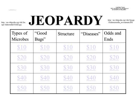 JEOPARDY Types of Microbes “Good Bugs” Structure“Diseases” Odds and Ends $10 $20 $30 $40 $50  age:SalmonellaNIAID.jpg