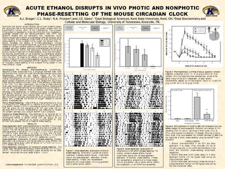 ACUTE ETHANOL DISRUPTS IN VIVO PHOTIC AND NONPHOTIC PHASE-RESETTING OF THE MOUSE CIRCADIAN CLOCK A.J. Brager 1, C.L. Ruby 1, R.A. Prosser 2, and J.D. Glass.