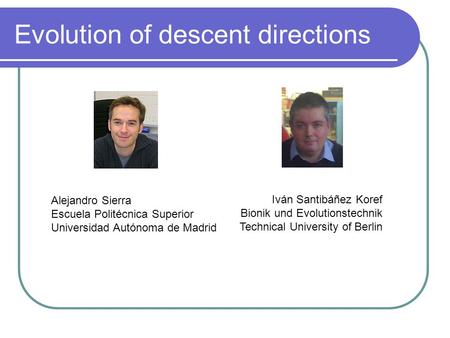 Evolution of descent directions Alejandro Sierra Escuela Politécnica Superior Universidad Autónoma de Madrid Iván Santibáñez Koref Bionik und Evolutionstechnik.