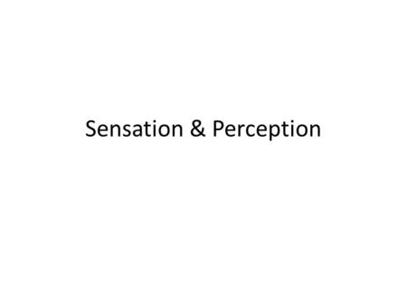 Sensation & Perception