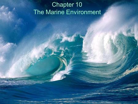 The Marine Environment