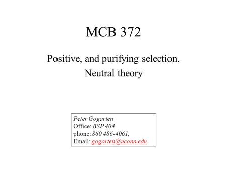 MCB 372 Positive, and purifying selection. Neutral theory Peter Gogarten Office: BSP 404 phone: 860 486-4061,