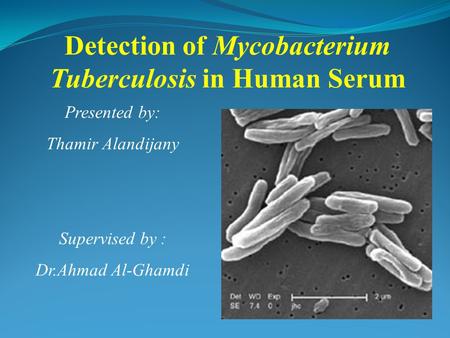 Detection of Mycobacterium Tuberculosis in Human Serum Presented by: Thamir Alandijany Supervised by : Dr.Ahmad Al-Ghamdi.