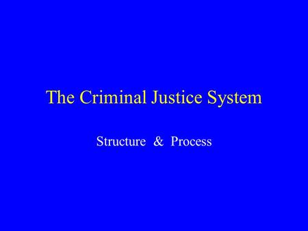 The Criminal Justice System