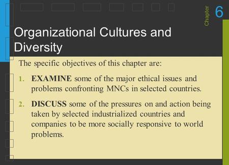 Organizational Cultures and Diversity