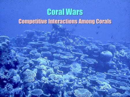 Coral Wars Competitive Interactions Among Corals.