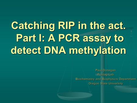 Catching RIP in the act. Part I: A PCR assay to detect DNA methylation Paul Donegan Freitag Lab Biochemistry and Biophysics Department Oregon State University.