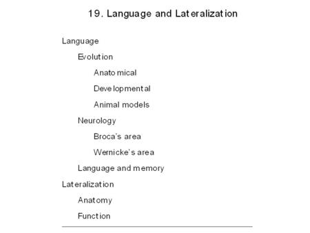 Evolution and Physiology of Language Human language is a complex form of communication. Compared to other species, human language has high productivity.