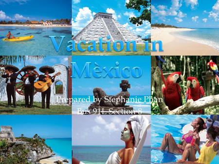 1 Prepared by Stephanie Phan Bus 91L Section 8. 2 I’m having so much fun in Mexico.