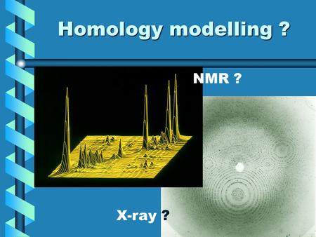 Homology modelling ? X-ray ? NMR ?. Homology Modelling !