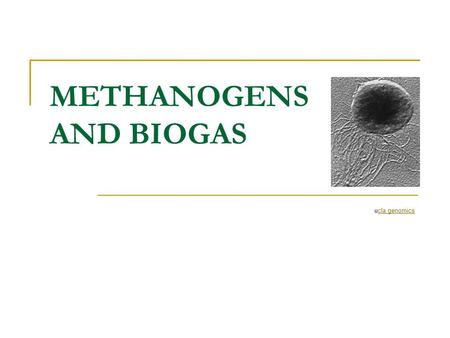 METHANOGENS AND BIOGAS