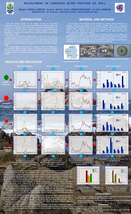 RECRUITMENT OF CIRRIPEDS AFTER PRESTIGE OIL SPILL Milagros PENELA-ARENAZ*, Gonzalo MACHO, Esther PÉREZ-FERNÁNDEZ and Elsa VÁZQUEZ Departamento de Ecoloxía.