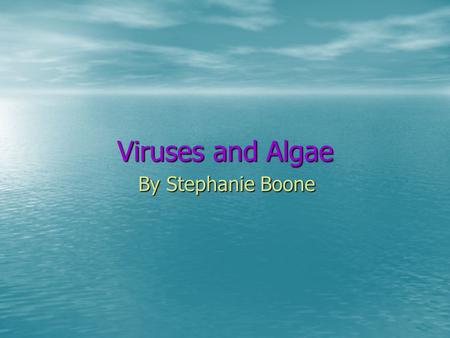 Viruses and Algae By Stephanie Boone.