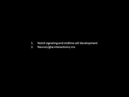 1.Notch signaling and midline cell development 2.Neuron/glia interactions; nrx.