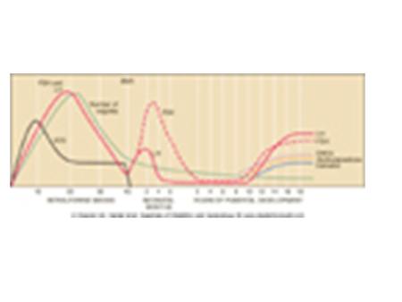 Diagrammatic representation of the steroid biosynthetic pathways