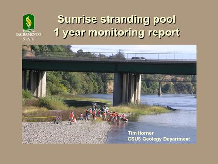 Sunrise stranding pool 1 year monitoring report Sunrise stranding pool 1 year monitoring report Tim Horner CSUS Geology Department SACRAMENTO STATE.