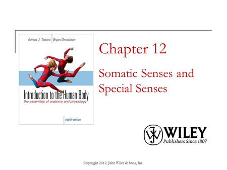 Chapter 12 Somatic Senses and Special Senses