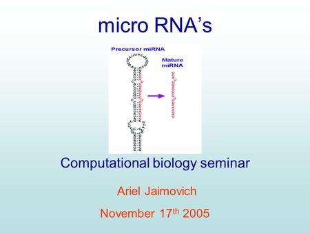 Computational biology seminar