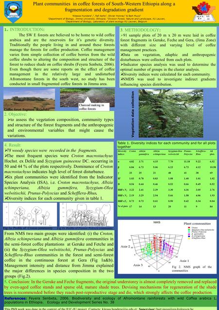 . 4. Result:  78 woody species were recorded in the fragments.  The most frequent species were Croton macrostachyus Hochst. ex Delile and Syzygium guineense.