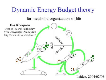 Dynamic Energy Budget theory for metabolic organization of life Bas Kooijman Dept of Theoretical Biology Vrije Universiteit, Amsterdam