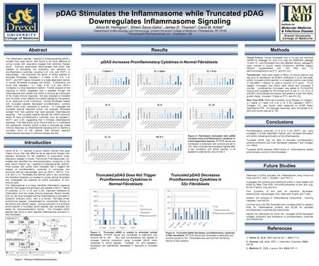 PDAG Stimulates the Inflammasome while Truncated pDAG Downregulates Inflammasome Signaling Alicia M. Holmgren 1, Sihem Sassi-Gaha 1, James D. Thacker 2,