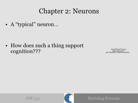 CSE 153Modeling Neurons Chapter 2: Neurons A “typical” neuron… How does such a thing support cognition???