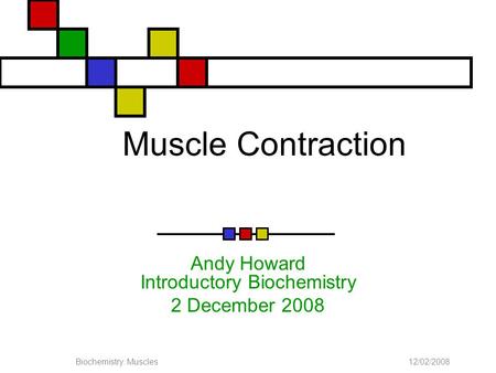 12/02/2008Biochemistry: Muscles Muscle Contraction Andy Howard Introductory Biochemistry 2 December 2008.