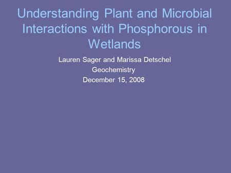 Lauren Sager and Marissa Detschel Geochemistry December 15, 2008