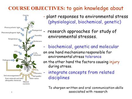 COURSE OBJECTIVES: to gain knowledge about