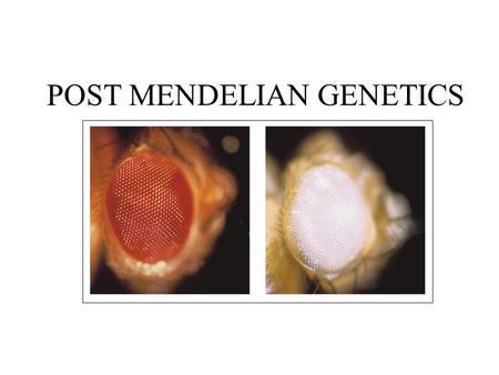 POST MENDELIAN GENETICS