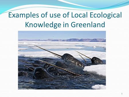 Examples of use of Local Ecological Knowledge in Greenland 1.