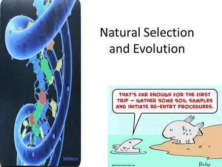 Natural Selection and Evolution