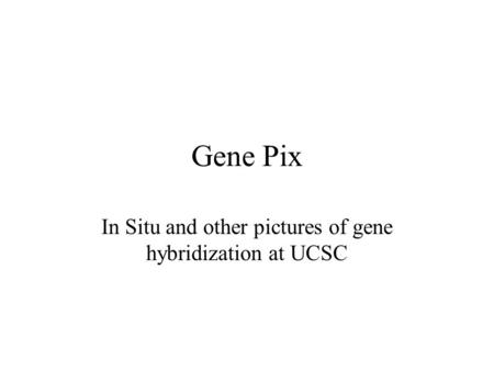 Gene Pix In Situ and other pictures of gene hybridization at UCSC.