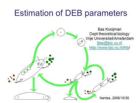 Estimation of DEB parameters Bas Kooijman Dept theoretical biology Vrije Universiteit Amsterdam