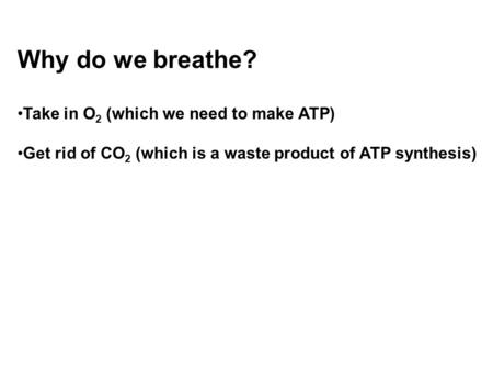 Why do we breathe? Take in O 2 (which we need to make ATP) Get rid of CO 2 (which is a waste product of ATP synthesis)